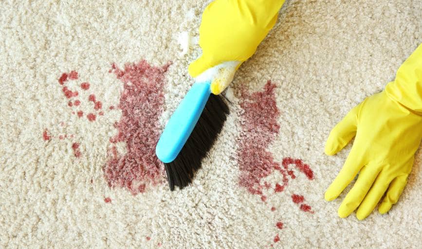 Carpet Cleaning